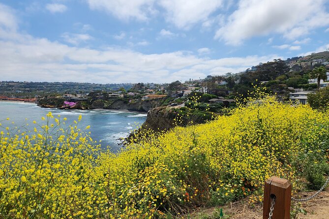 A Seaside Stroll: La Jollas Hidden Treasures Self-Guided Tour - Glowing Traveler Testimonials