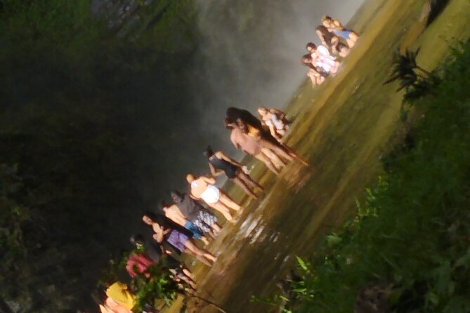 Accra: Wli Waterfalls and Tafi Monkey Sanctuary Private Day Tour - Guest Reviews and Ratings