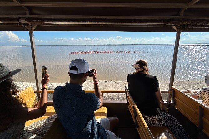 Admission Ticket to Safari in the Pink Lagoons of Las Coloradas - Tour Highlights