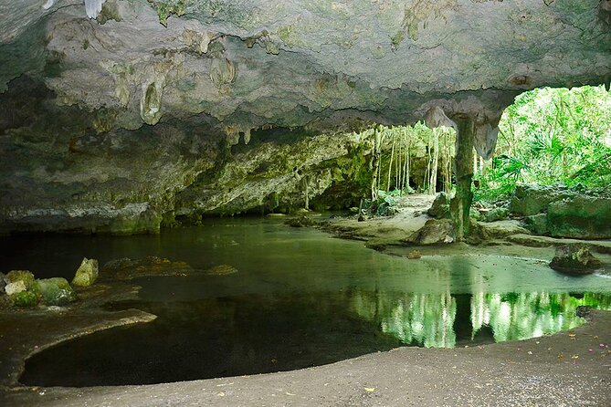 Adventure in Atv, Cenote Swimming, Snack & Transportation - Pricing and Duration