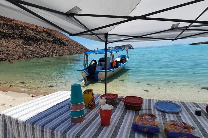 Adventure to Espiritu Santo Island: Snorkel With Sea Lions and Beach - Safety and Accessibility