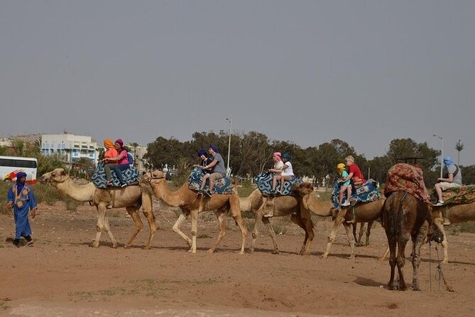 Agadir Camel Ride Experience - Key Considerations