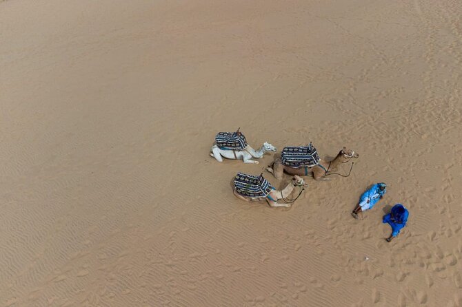Agadir Sand Dunes and Camel Ride in Tifnit With Lunch - Additional Tour Details