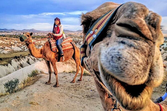 Agadir Sunset on Camel Ride With Barbecue - Tips for a Great Experience