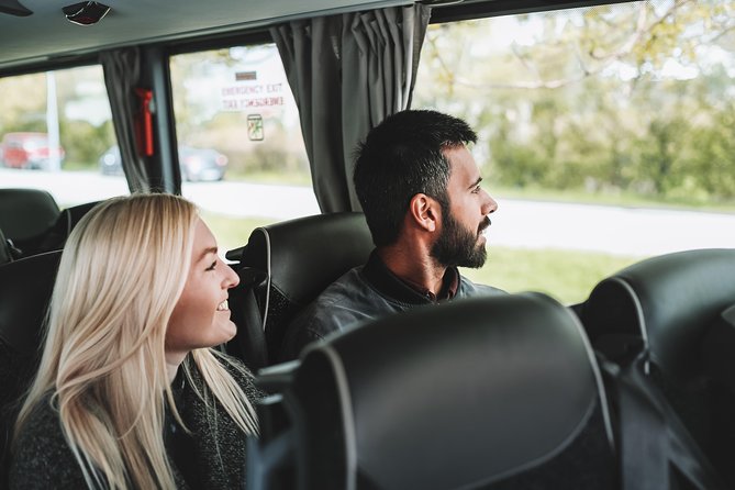 Airport Transfer in Iceland From Reykjavik City to Keflavik Airport One Way - Cost-effective Airport Transfer Option