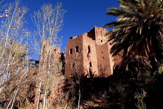 Ait-Ben-Haddou - City Tour - Customer Feedback and Testimonials