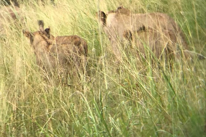 Akagera National Park - Park Conservation Efforts
