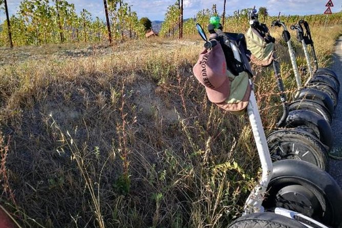 Albahills Segway Tour - Accessibility and Safety Guidelines
