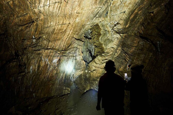 Algarve Salt Mine Tour - Highlights of the Tour