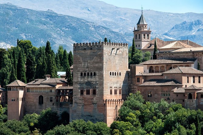 Alhambra Tickets and Albaicin Private Tour - Visiting Alhambra