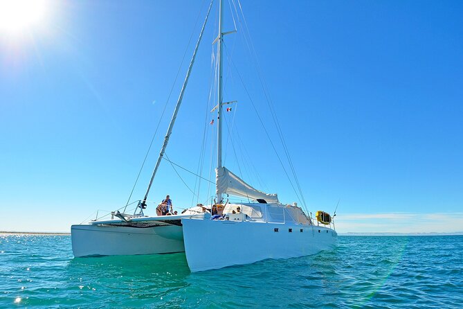 All-Inclusive Catamaran Espiritu Santo Island Tour From Los Cabos - Cuisine and Beverages