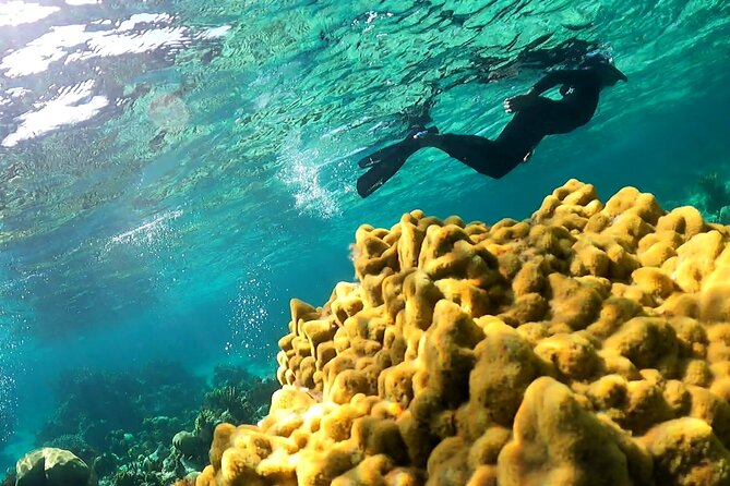 All-Inclusive Day-Trip From Nassau to Andros Bahamas - Highlights and Experiences