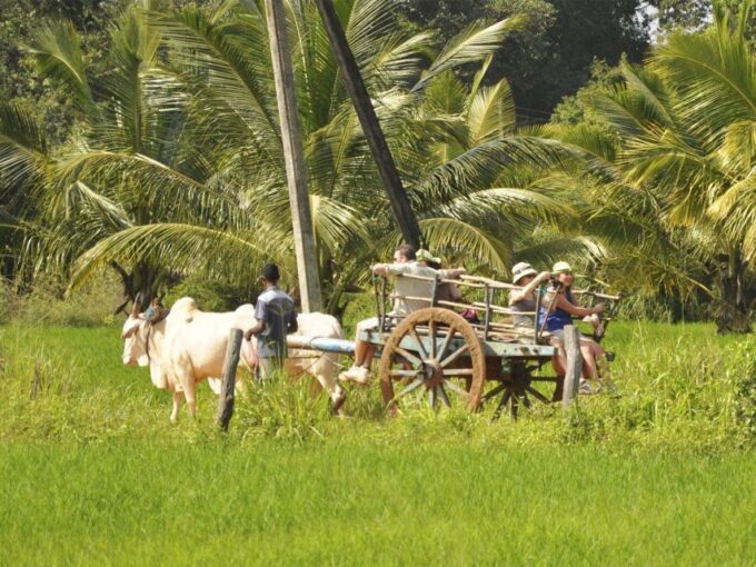 All Inclusive Minneriya National Park & Hiriwadunna Village - Pickup and Drop-off Locations