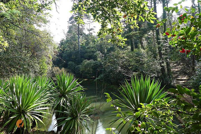 Alliance Underground Museum and Bussaco Forest - Coimbra - Verified Traveler Reviews and Pricing