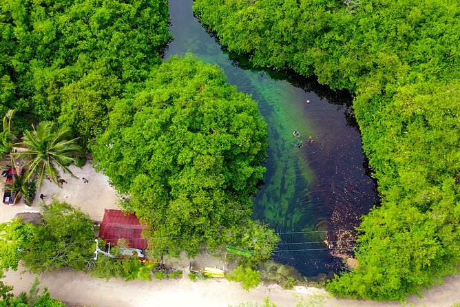 Amazing Beginner Dive in Tulum Cenote (Or Refresher Dive) - Preparing for the Dive