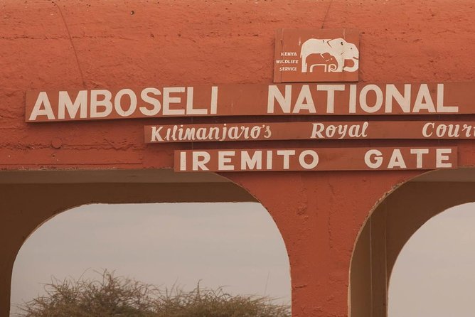 Amboseli Park & Kilimanjaro Views Day Tour - Customer Reviews and Feedback