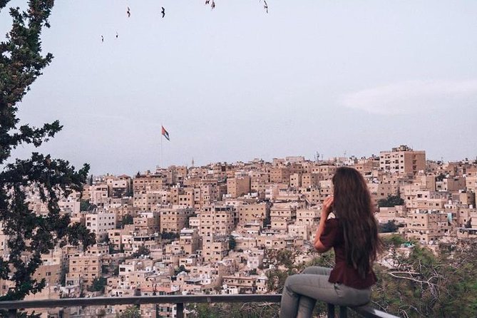 Amman Private City Tour - Transportation and Accessibility
