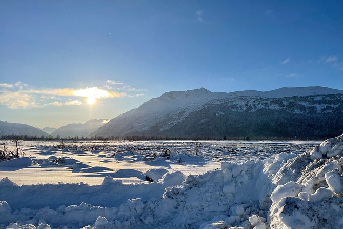 Anchorage to Seward- Pre-Cruise Curated Wildlife Tour +Transfer - Personalized and Curated Nature Experience