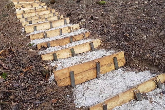 Ancient Bosnian Pyramid of the Sun - Guided Tour Experiences