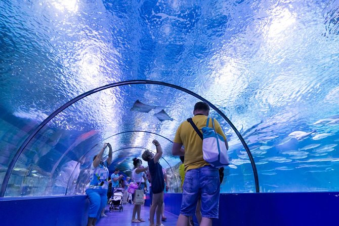 Antalya Aquarium Tour Platinium Tour - Traveler Reviews