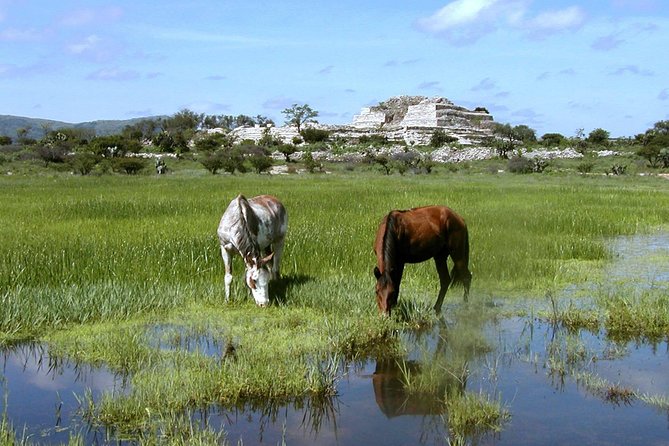 Archaeologist-Led Cañada De La Virgen Pyramid Tour - Meeting Point and Transportation