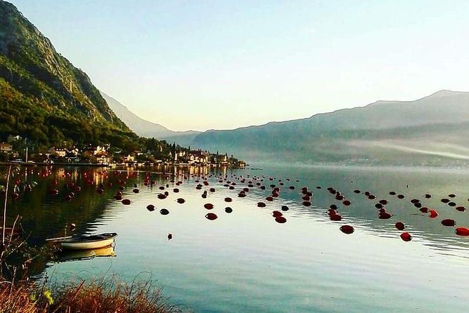 Around Boka Bay Private Tour - Cancellation Policy and Reviews
