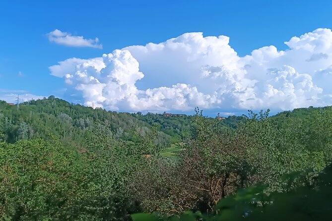 Art Classes in Monferrato Hills - Booking and Cancellation