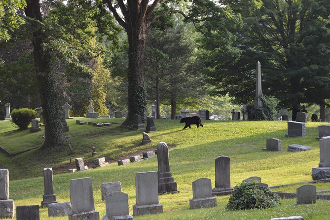Asheville Ghost Tour: A Walk Through Riverside Cemetery & Montford Neighborhood - Health and Safety Considerations