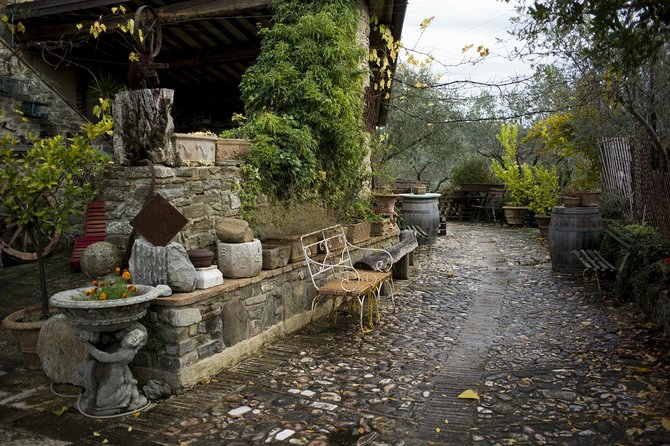 Assisi, Deruta & Organic Gourmet Lunch at the Olive Oil Farmhouse From SIENA - Frequently Asked Questions