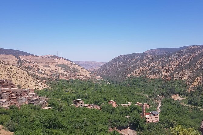 Atlas Mountains Ourika Valley Guided Tour - Traveler Reviews and Recommendations