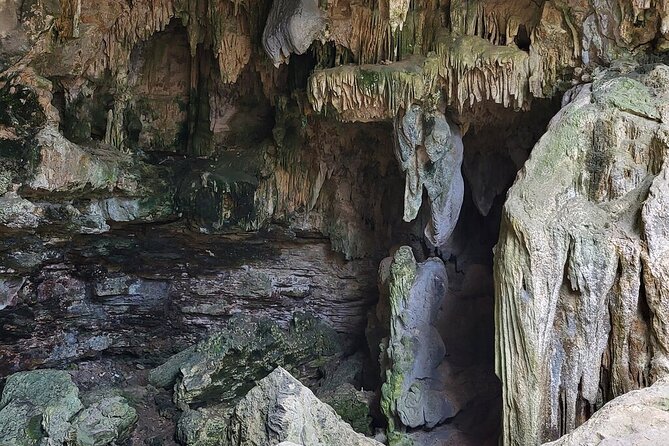 ATV 4x4 and Cenote Tour - Cenote Swim