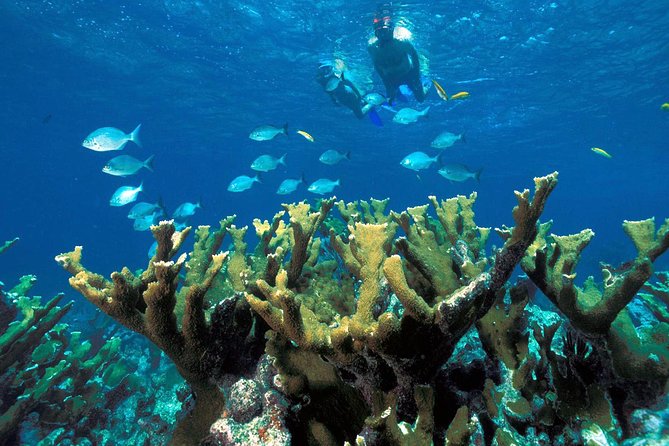 ATV Adventure Combo With Snorkeling, Ziplines, Cenote, and Lunch - Inclusions and Exclusions of the Tour