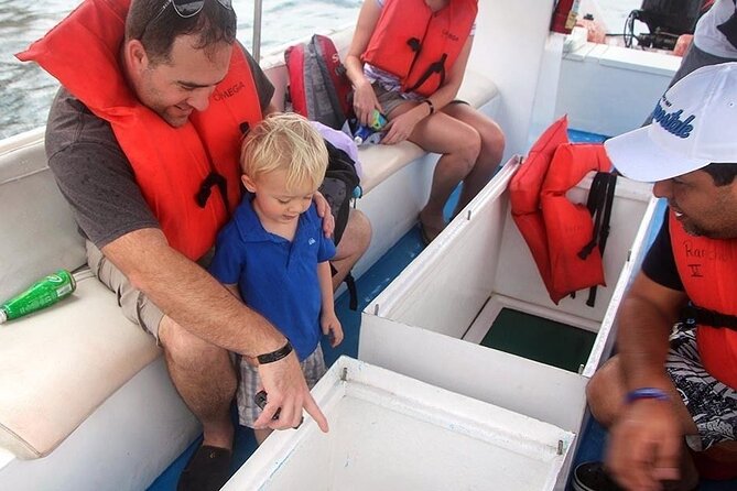 Authentic Cabo San Lucas Tour - Recommended Improvements
