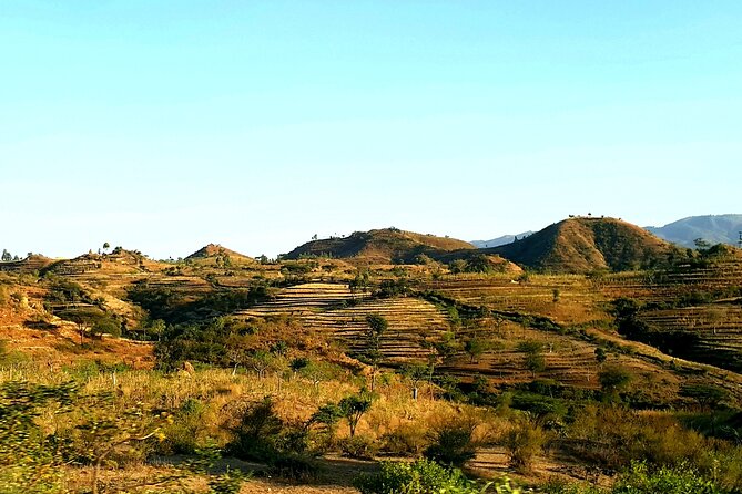Authentic Experience and Adventure - Pricing and Guarantee