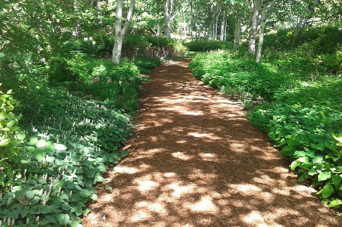 Bainbridge Island Nature Reserve Walk Review - Planning Your Visit