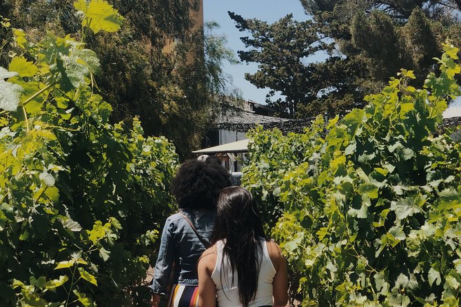 Baja Tour Guide Wine Tour - Customized Winery Experiences