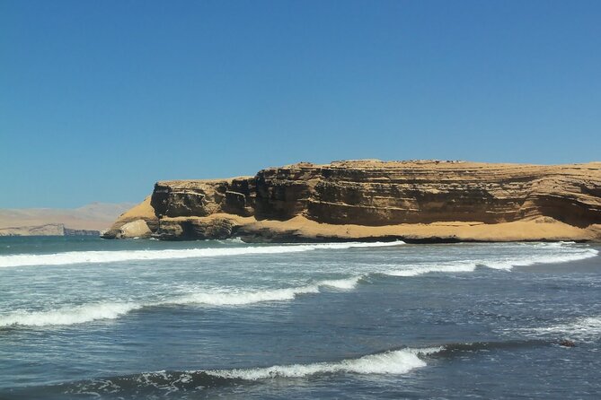 Ballestas Islands and Paracas Reserve Tour From San Martín Cruise - Traveler Reviews