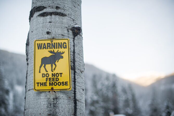 Banff: Banff National Park - Nature Walk 2hrs - Wildlife Sightings