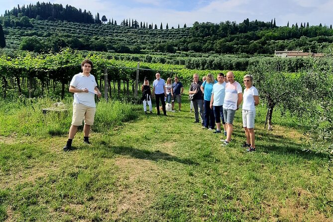 Bardolino: Vineyard Tour, Wine, Oil and Food Tasting - Reviews and Feedback