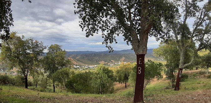 Barrocal Adventure - 4 Hours - Customer Reviews and Ratings