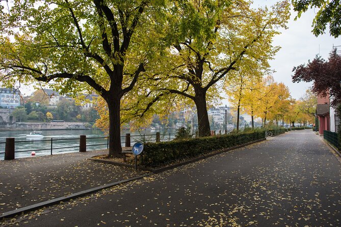 Basel Scavenger Hunt and Highlights Self-Guided Tour - Cancellation and Support Policies