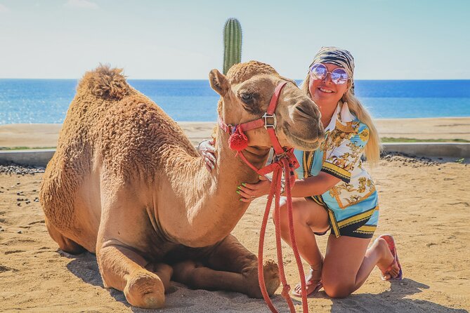 Beach Camel Ride & Encounter in Cabo by Cactus Tours Park - Customer Feedback Summary