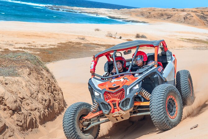 Beach & Desert Premium RC UTV Tour in Cabo (Price per Person) - Tour Suitability and Restrictions