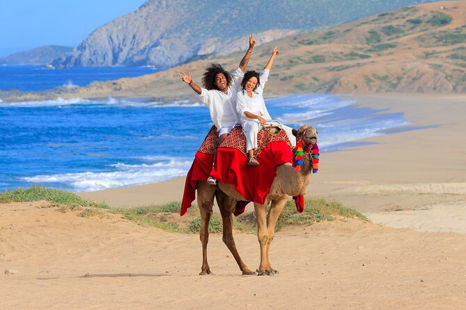 Beach UTV & Camel Ride COMBO in Cabo by Cactus Tours Park - Camel Encounter and Riding