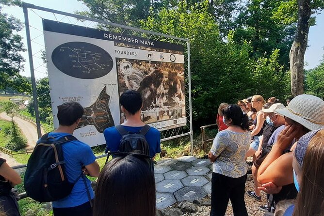 Bears Sanctuary, Dracula Castle and Poiana Brasov-Private Day Tour From Brasov - Confirmation, Accessibility, and Medical Conditions