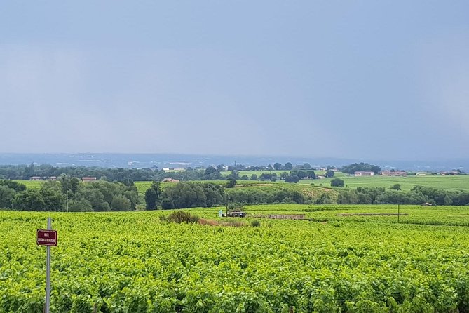 Beaujolais Wine Tasting - Discovering Beaujolais Terroir