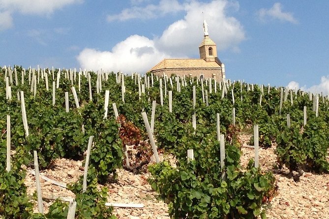 Beaujolais Wines & Castles - Private Tour - Half Day - What to Expect on the Tour
