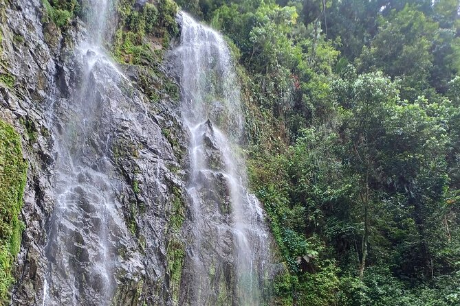 Beautiful Forest Hike to a Gorgeous Waterfall - Breathtaking Waterfall