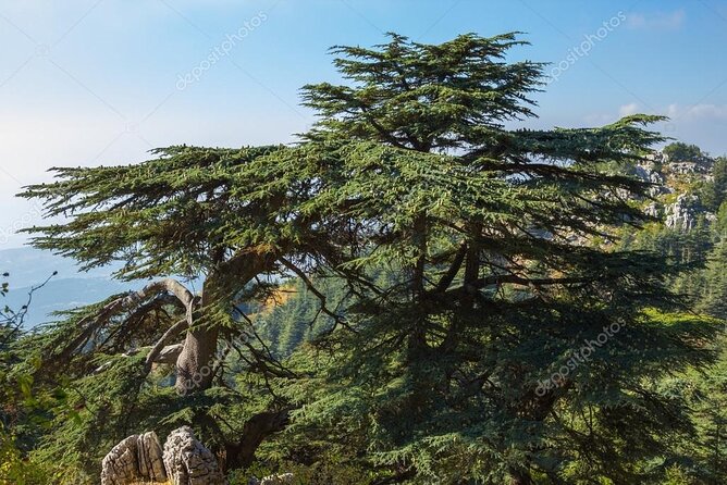 Beiteddine and Al-Chouf Cedar Reserve - Frequently Asked Questions
