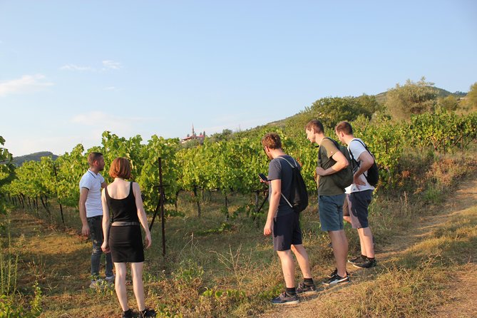Berat Grand Wine Tasting Tour - Booking Details